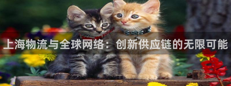 谈球吧买球是正规的吗