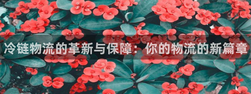 谈球吧电子